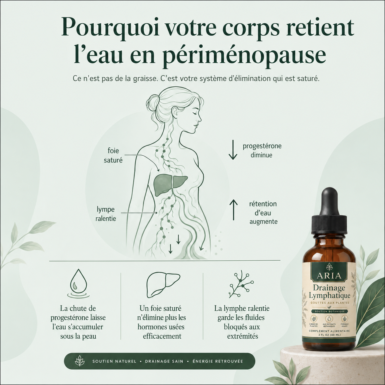 Élixir Drainant Lymphatique