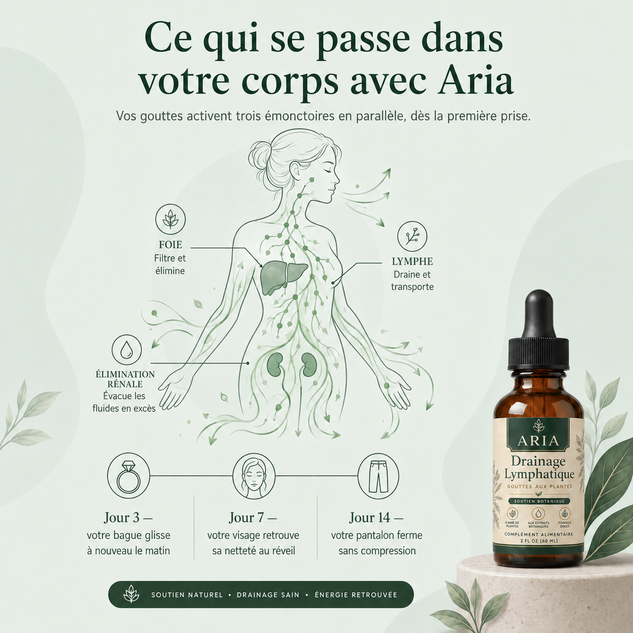 Élixir Drainant Lymphatique